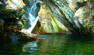 神秘花园钢琴谱 神秘花园钢琴谱